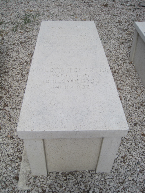 شاهدة قبر toledano violeta