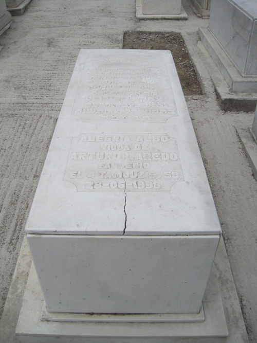 Stèle de albo alegria