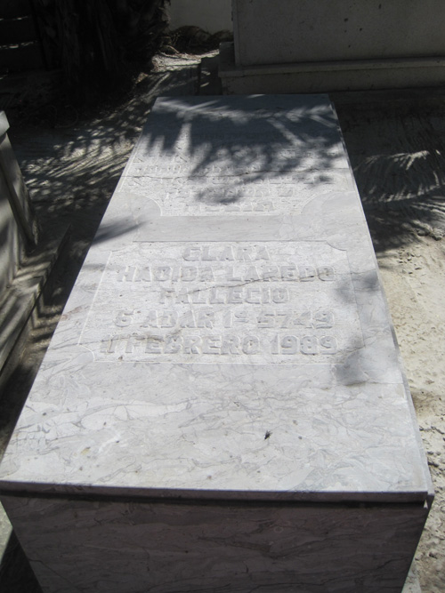 Estela de laredo clara