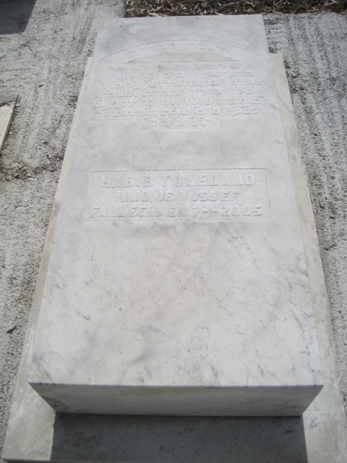 Estela de toledano habib
