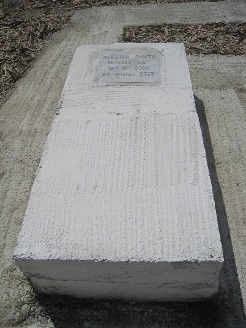 Stèle de pinto alegria