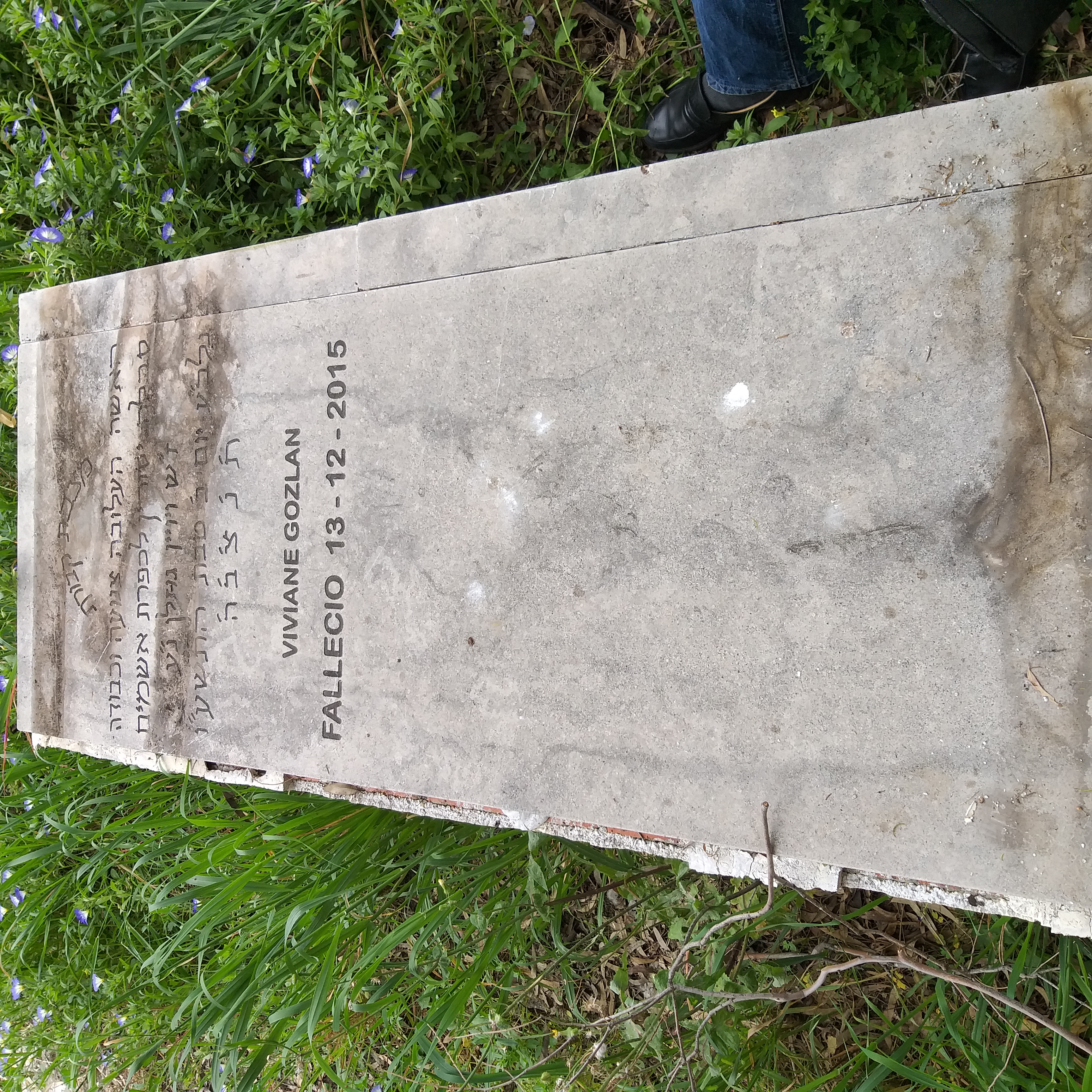 Stèle de gozlan viviane