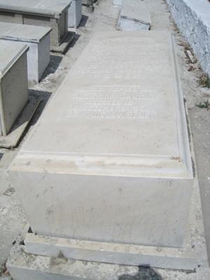 Stèle de saurin alegrina
