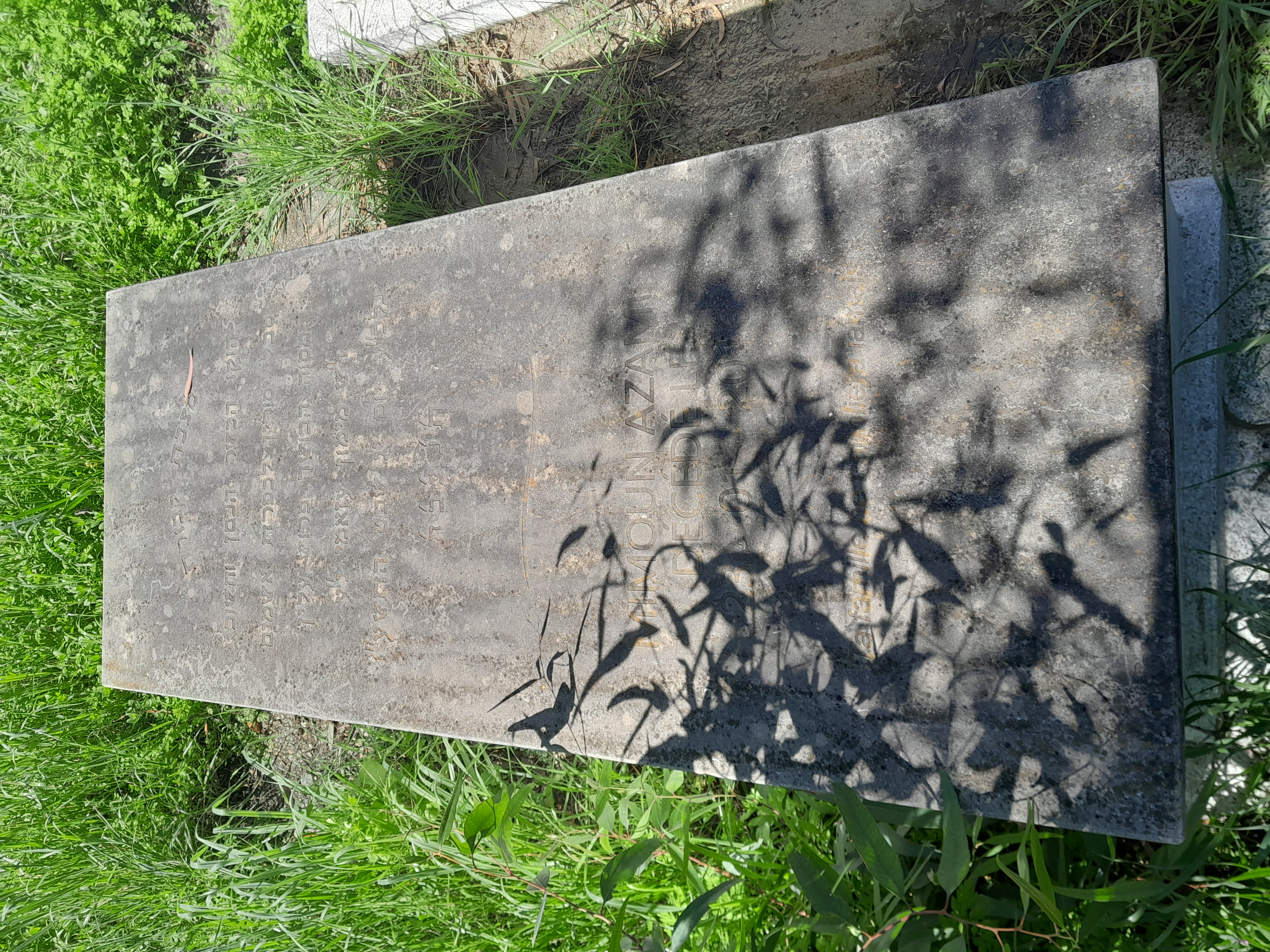 Stèle de azami mimoun
