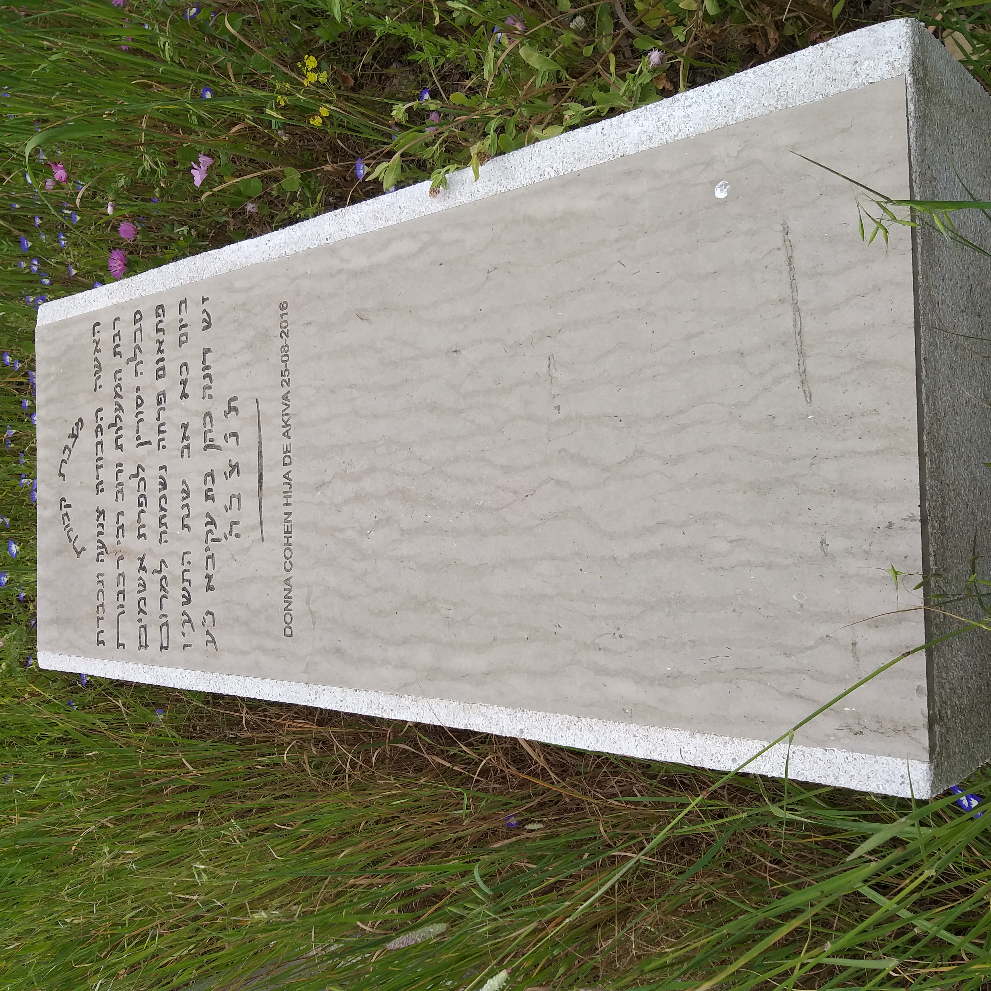 Stèle de cohen donna