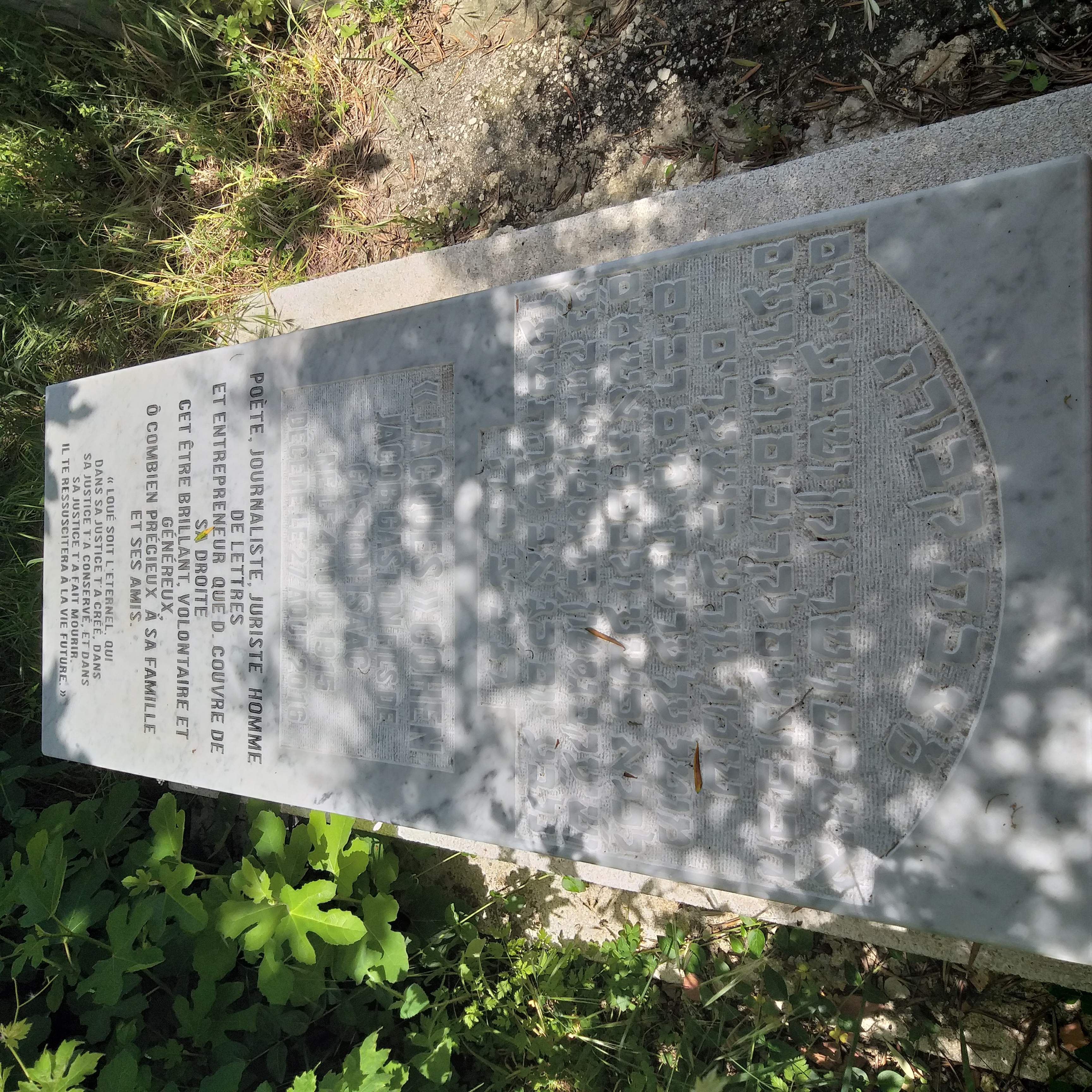 Stèle de cohen gaston jacob