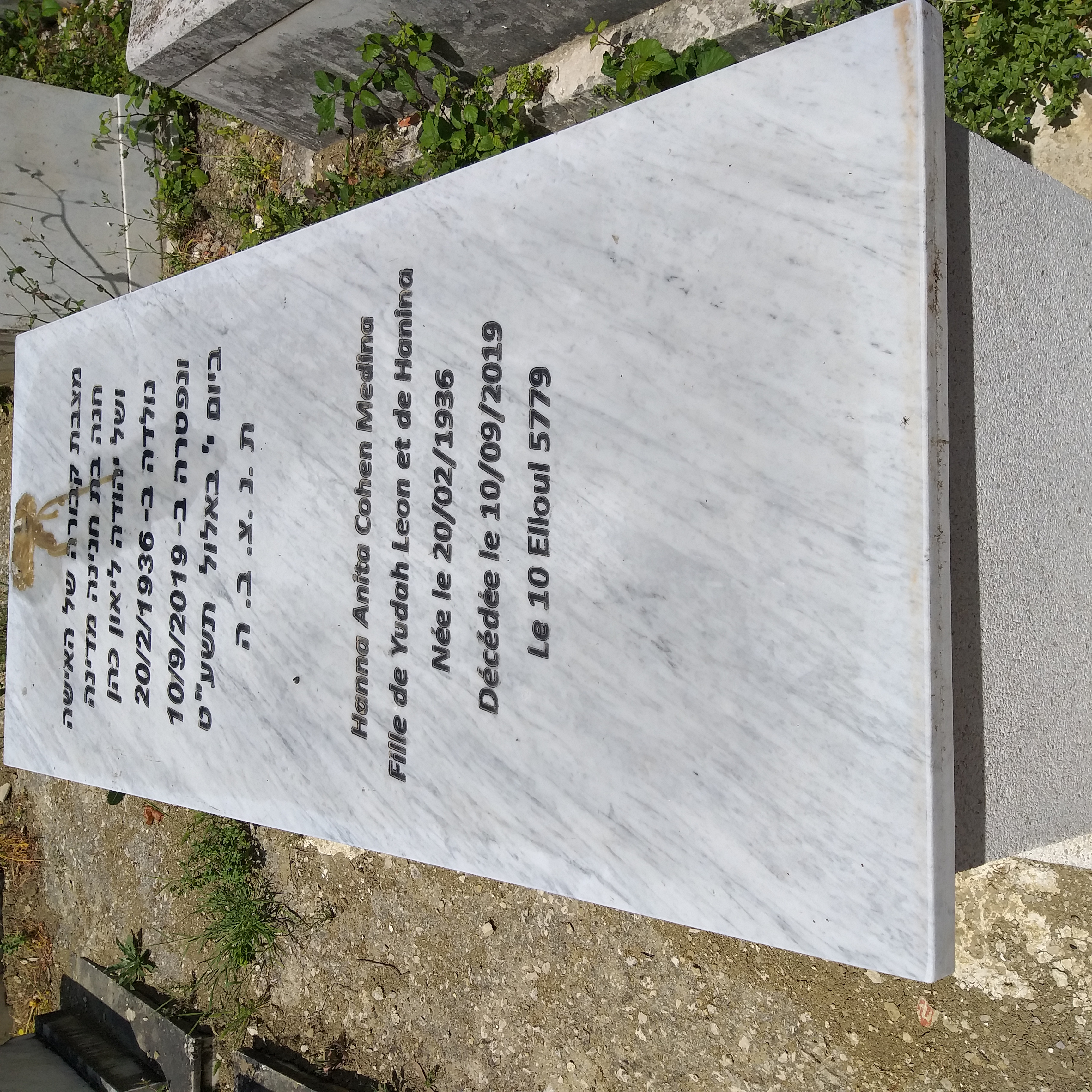 Stèle de cohen medina ana