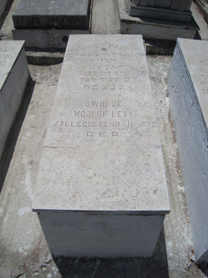 מַצֵּבה פון levy david