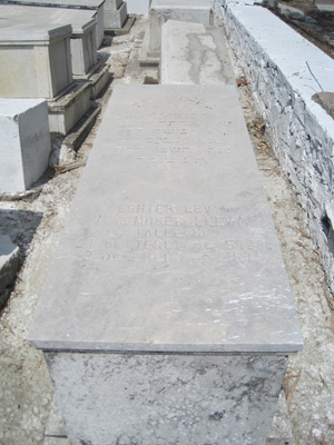 מַצֵּבה פון levy esther moses