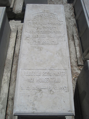 Stèle de mayer rebeca rosa
