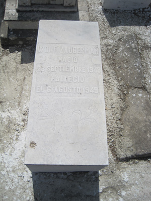 Stèle de zauberman wolf