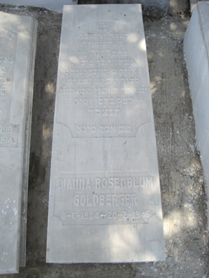 Stèle de golberger dianna