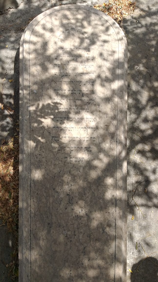 Grabstein von cohen david