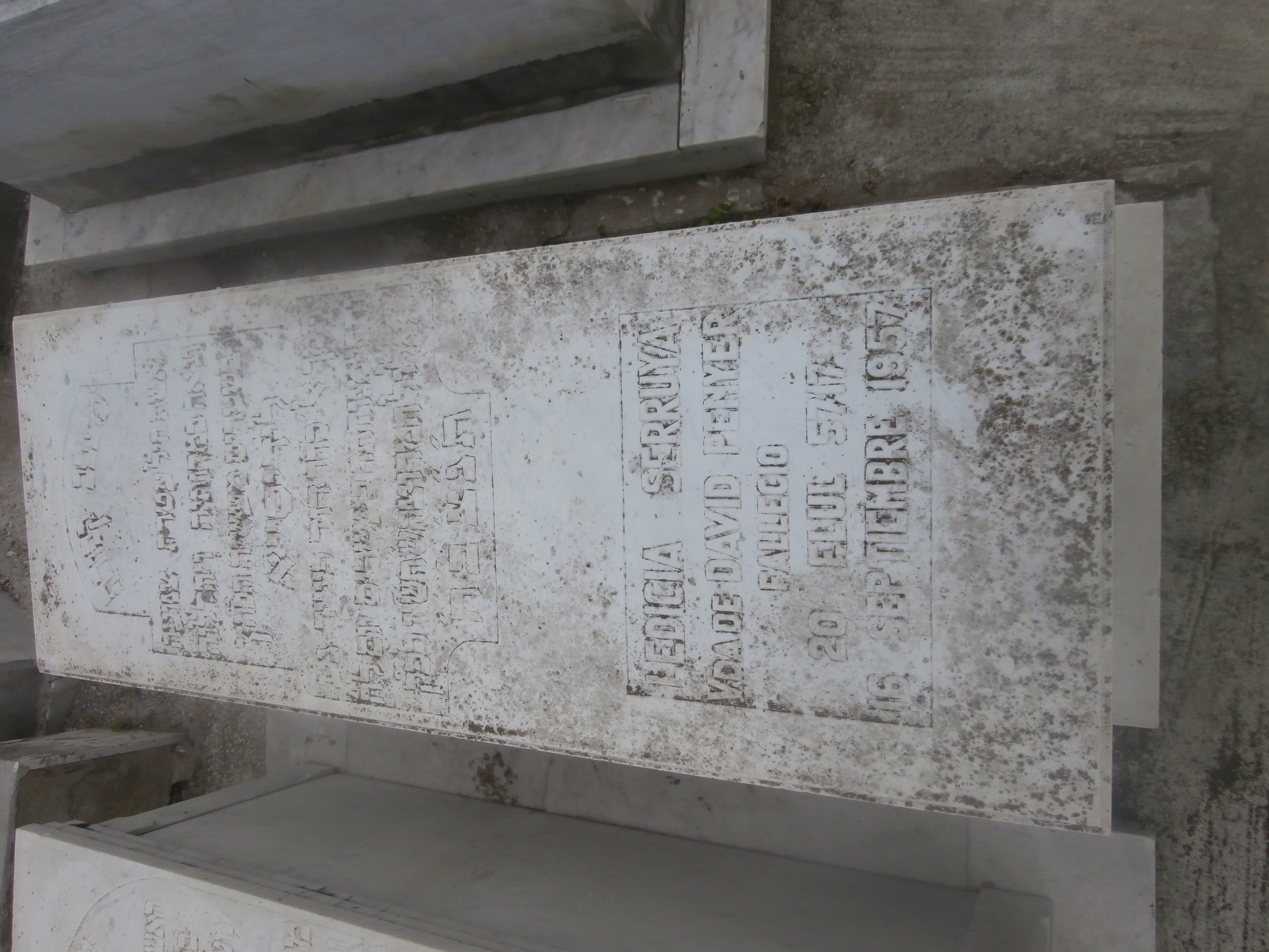 מצבת serruya ledicia