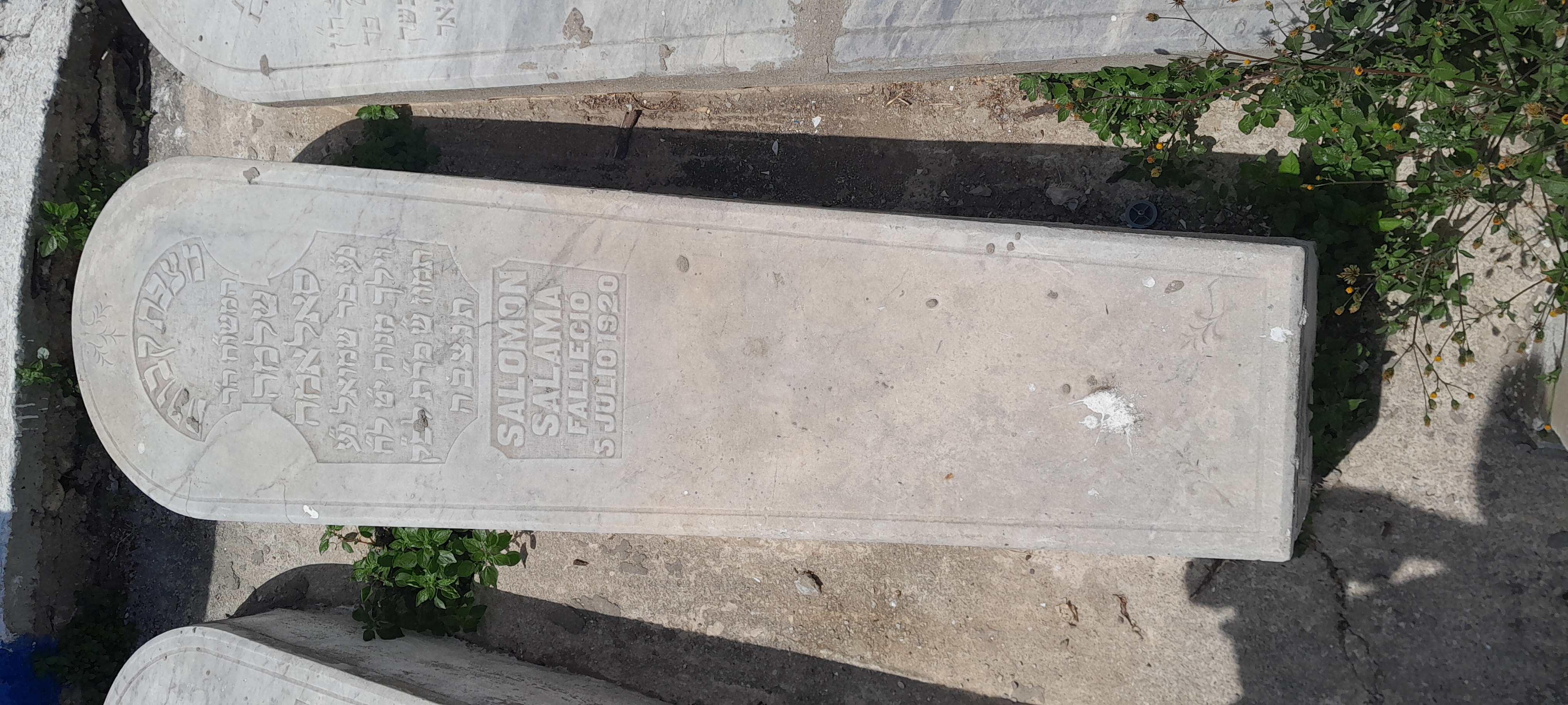 Grabstein von SALAMA SALOMON