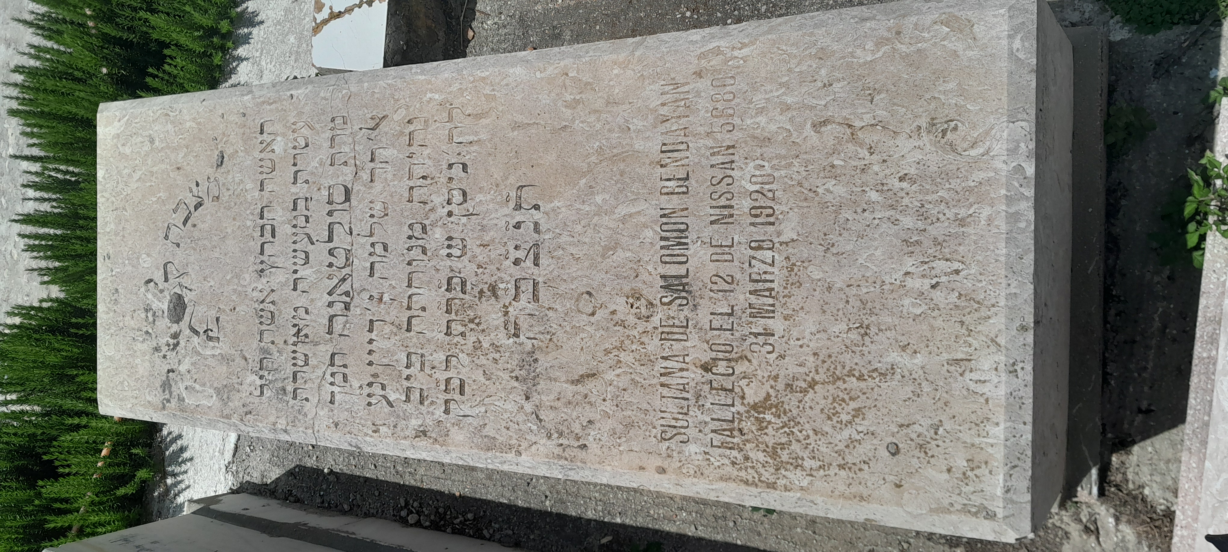 מַצֵּבה פון BENDAYAN SULTANA