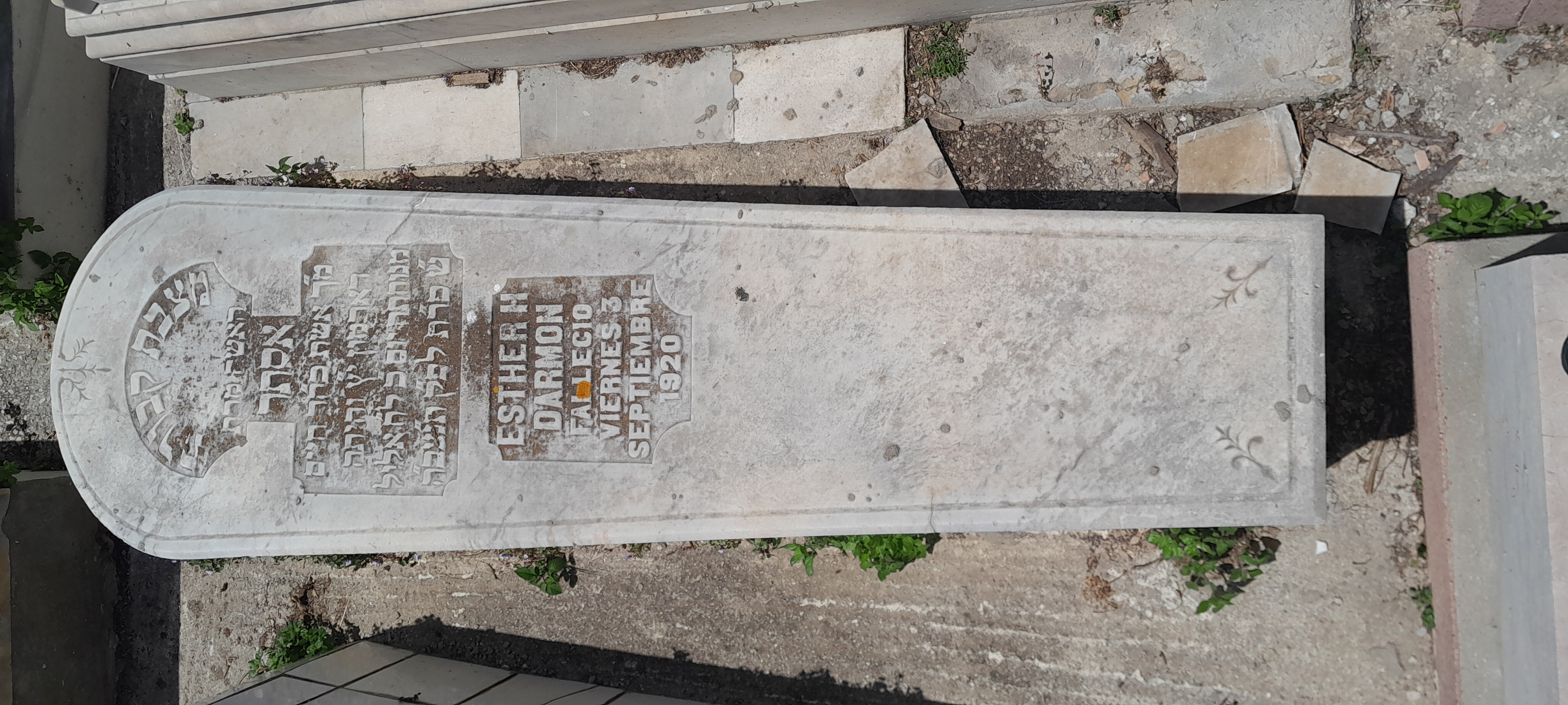 Stèle de DARMON ESTHER