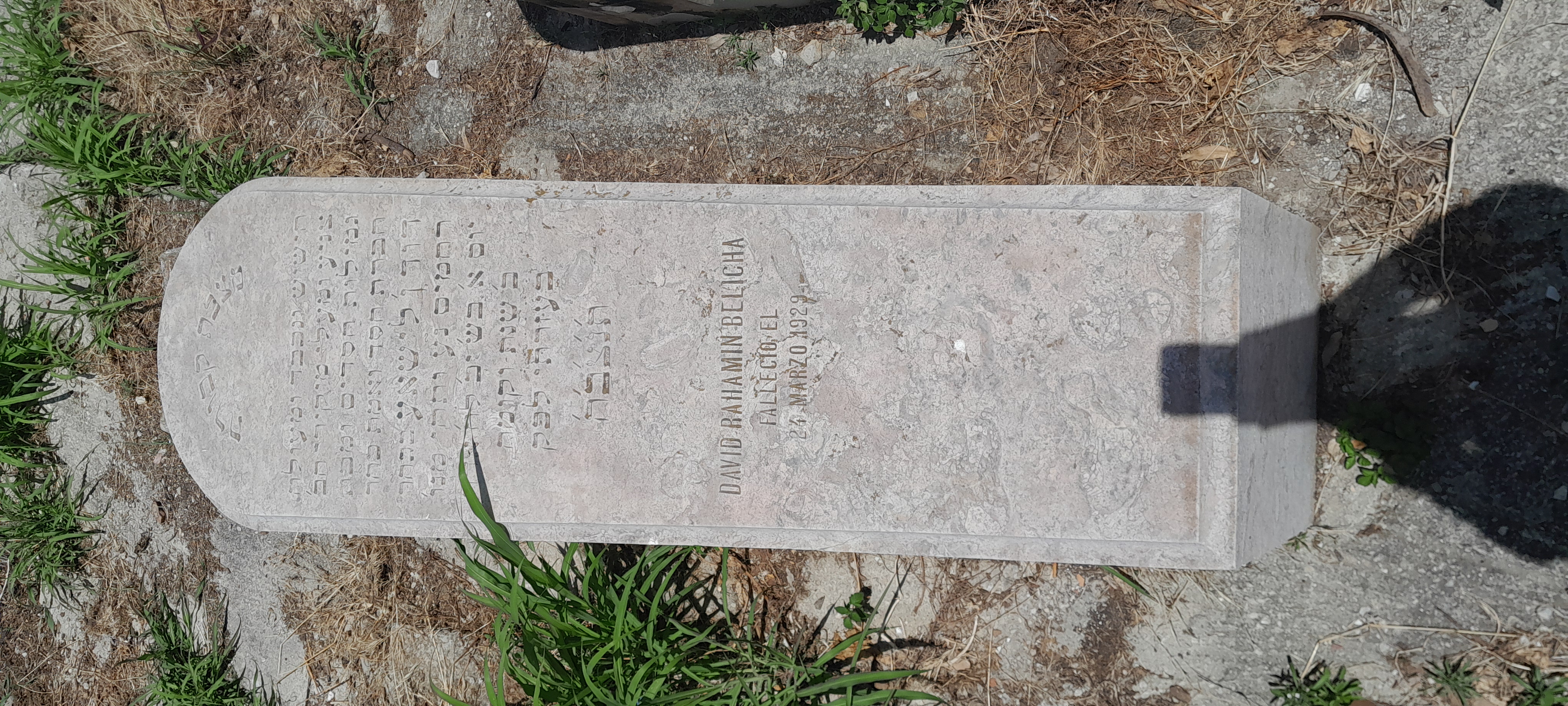 Grabstein von BELICHA DAVID