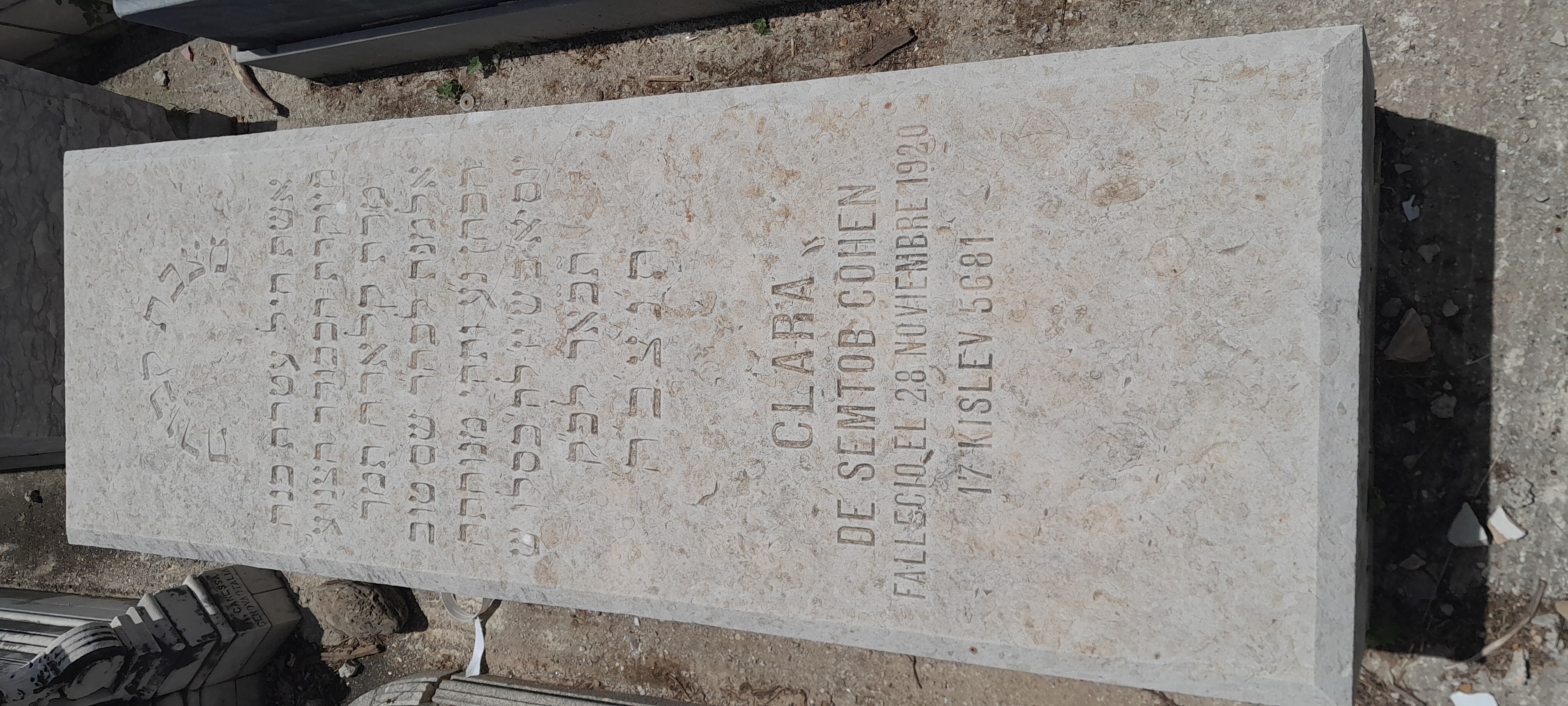 מַצֵּבה פון COHEN CLARA