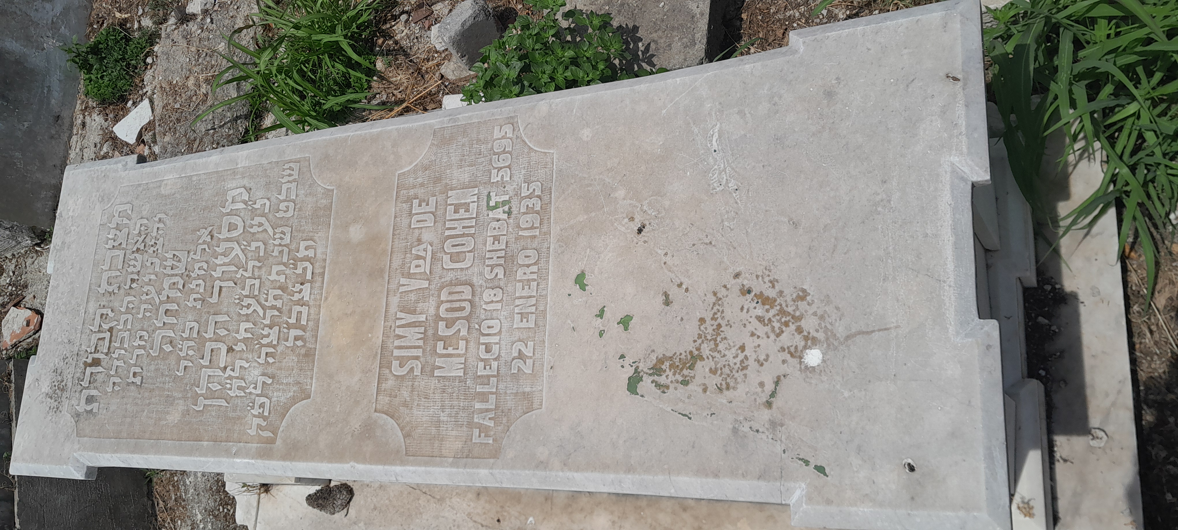 شاهدة قبر COHEN SIMY