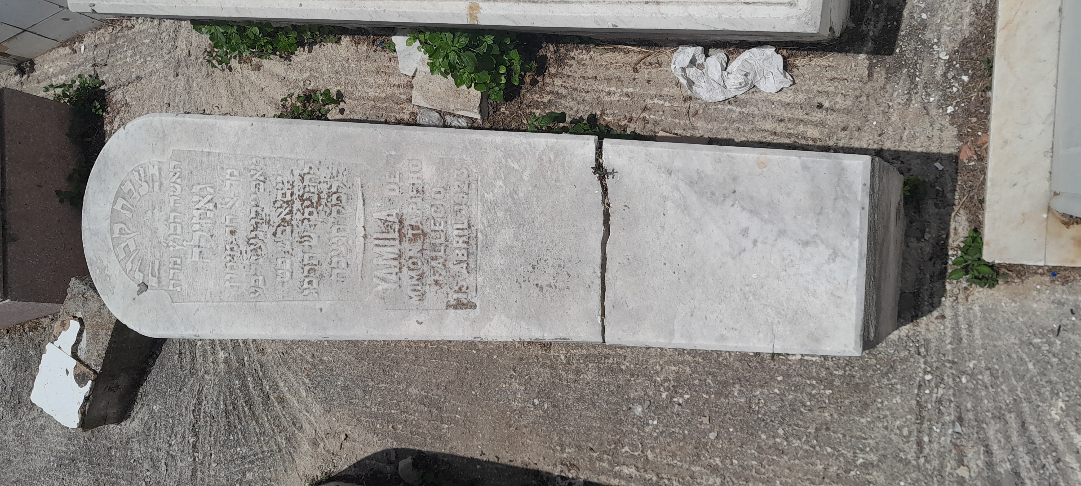 Stèle de TAPIERO JAMILA