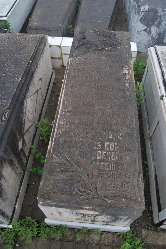 Estela de bengio mercedes