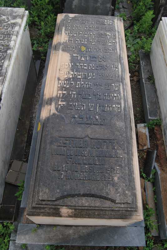 Estela de benchimol esther