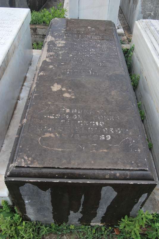 Estela de benolol cohen samuel