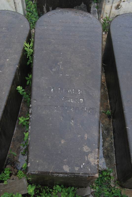 Estela de bentolila david