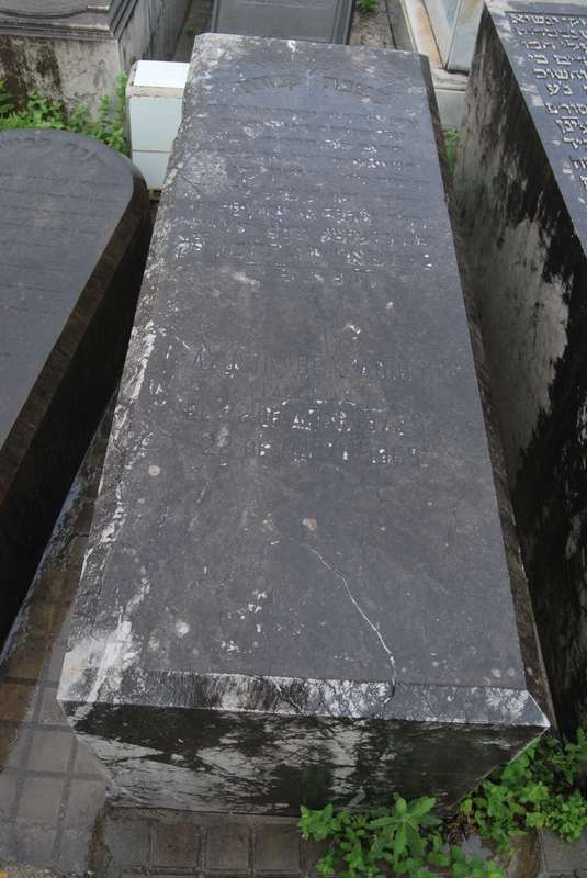Estela de benzaquen ayuch