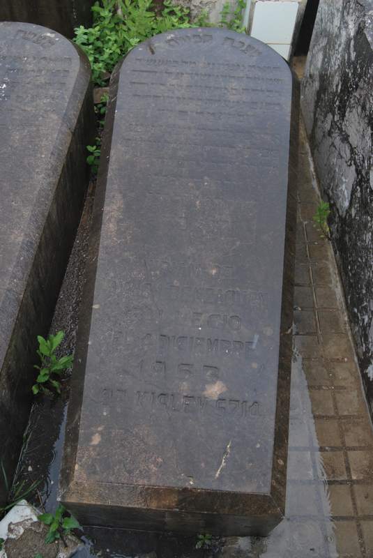 Estela de benzaquen miriam