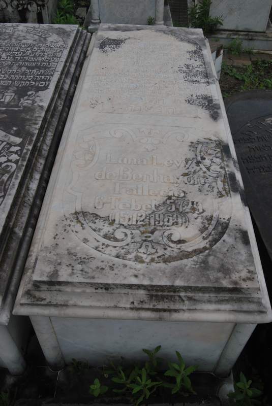 Estela de benhayon luna