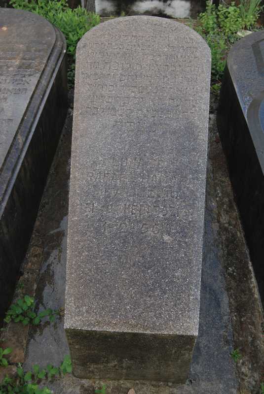 Estela de Amar luna