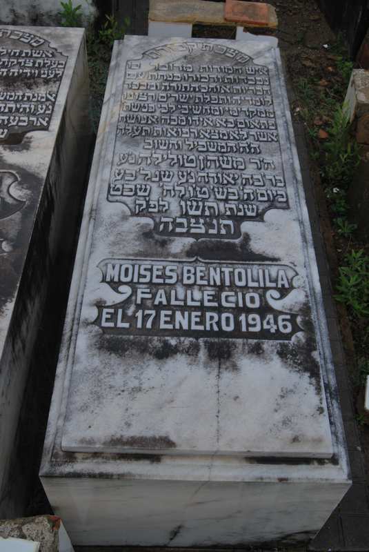 Estela de bentolila moses