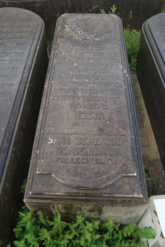Estela de benhayon sara