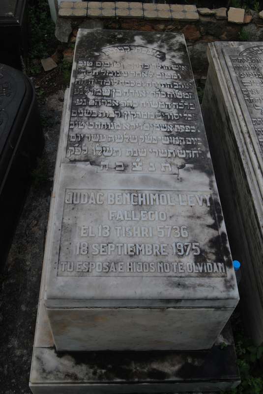 Estela de benchimol levy judac