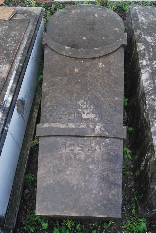 מצבת salama yossef