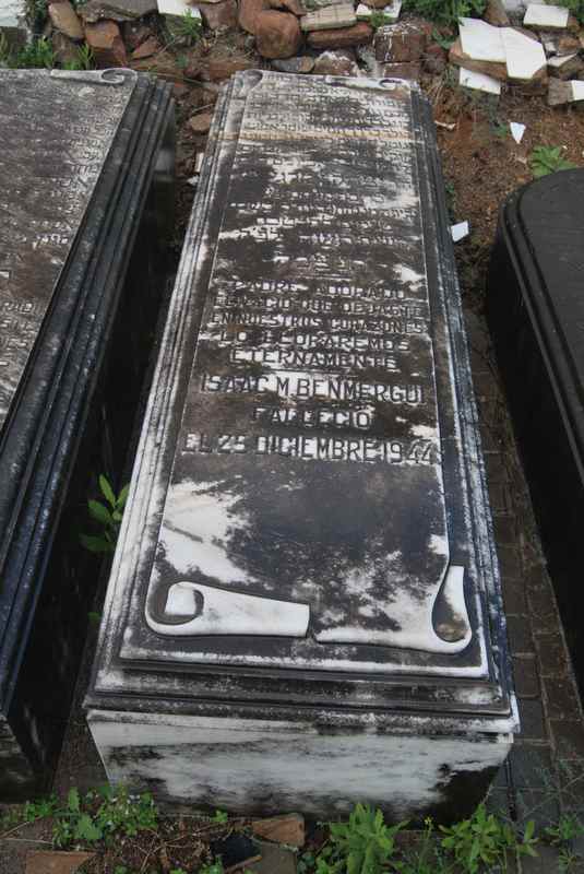 Estela de benmergui isaac