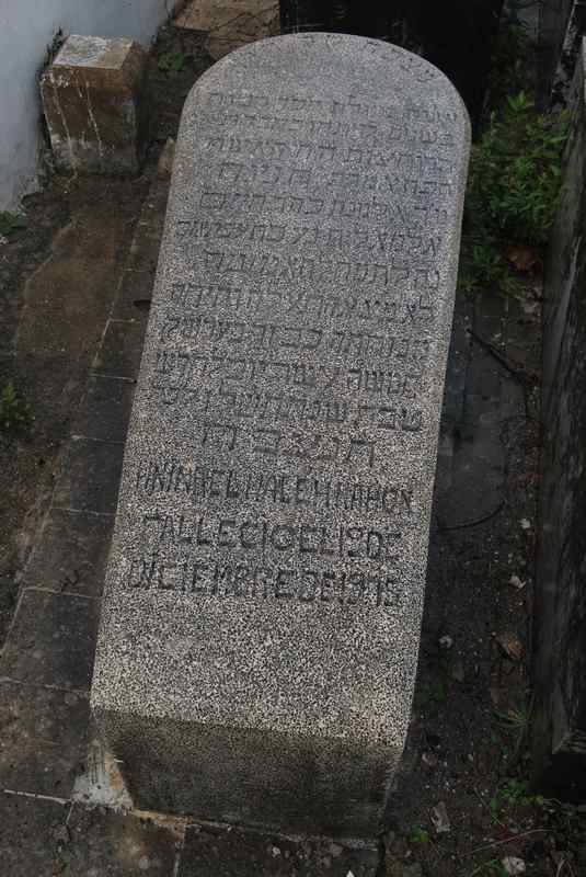 מצבת elmaleh hnina