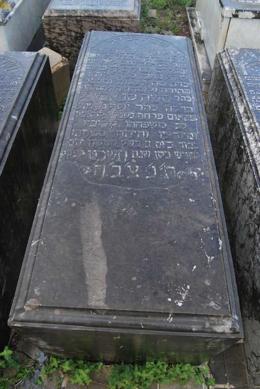 מצבת sananes moses