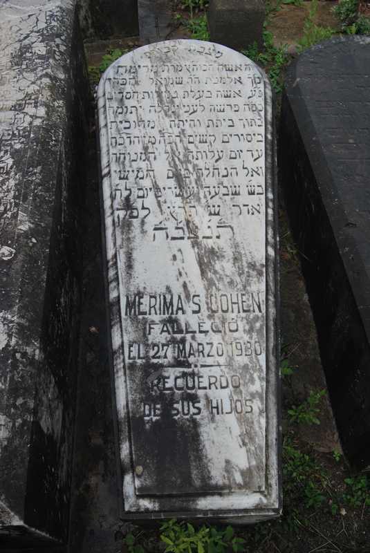מצבת cohen merima