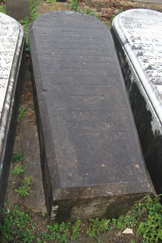 Estela de benhamu esther