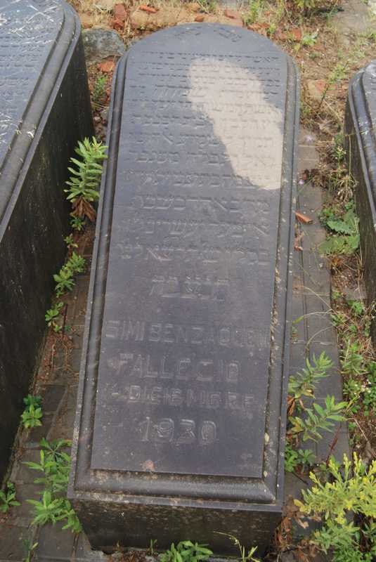 Estela de benzaquen simi