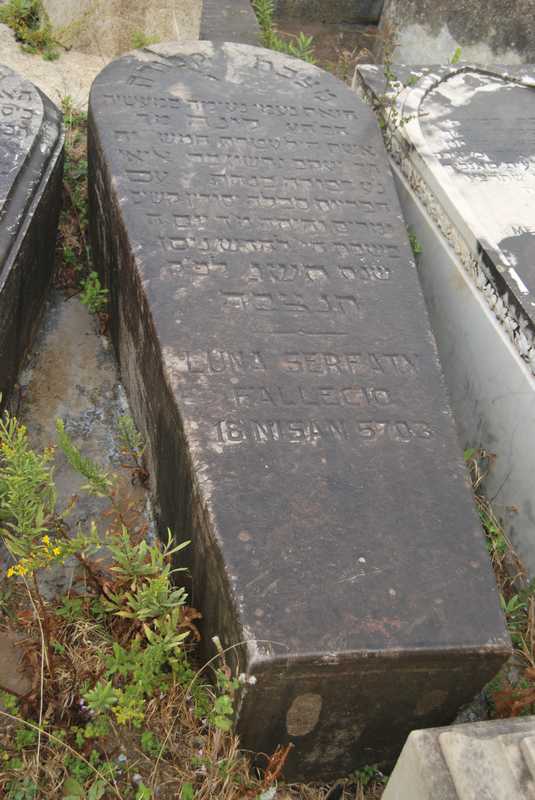 מצבת serfaty luna