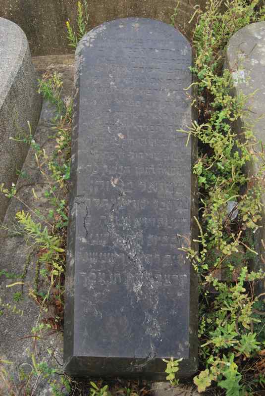 Estela de benzaquen samuel