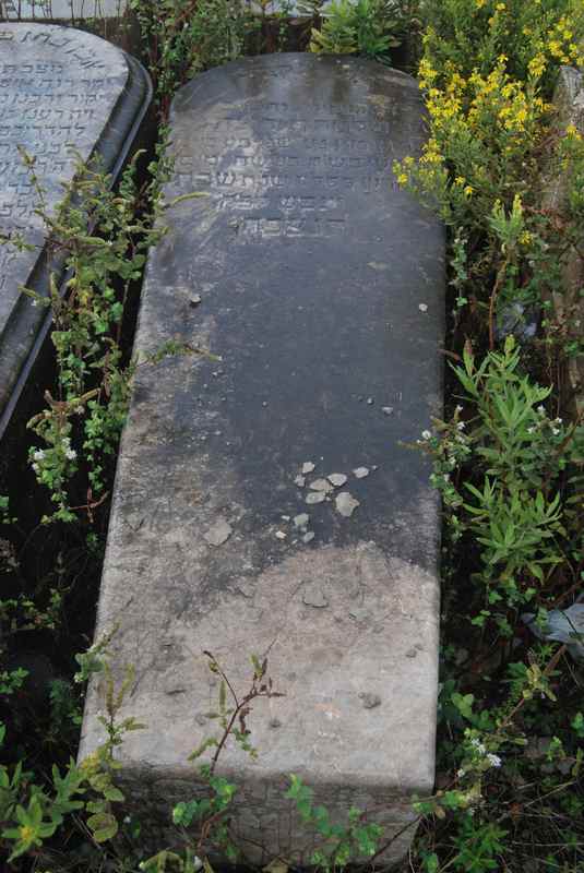 Estela de benadiba salomon