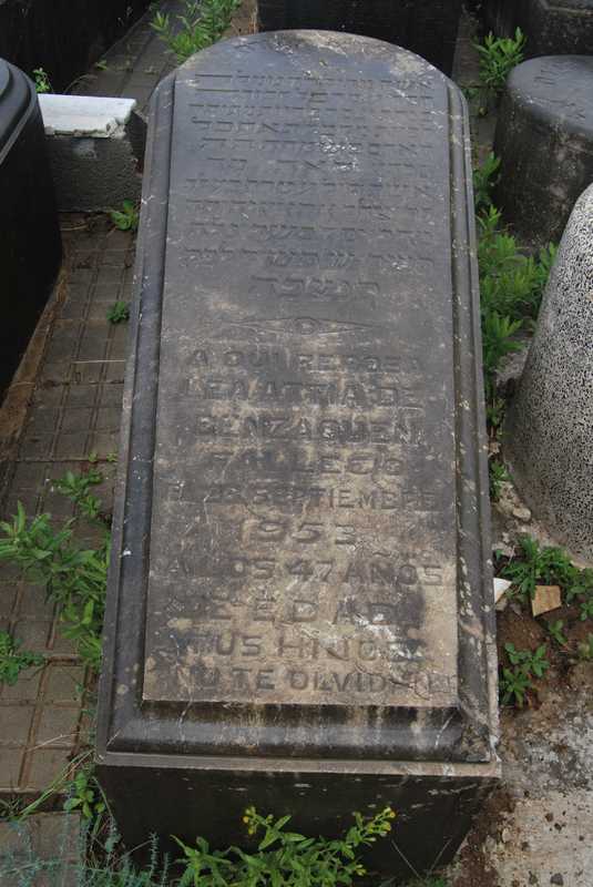 Estela de benzaquen lea