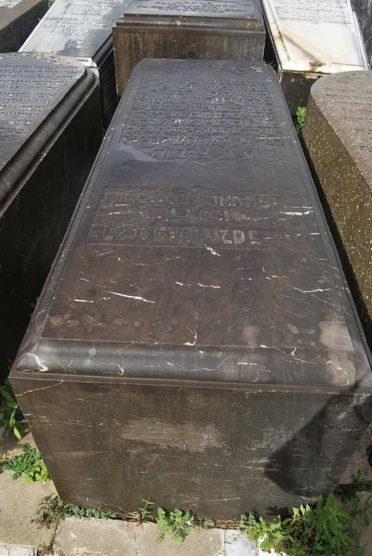 Estela de benmaman salomon
