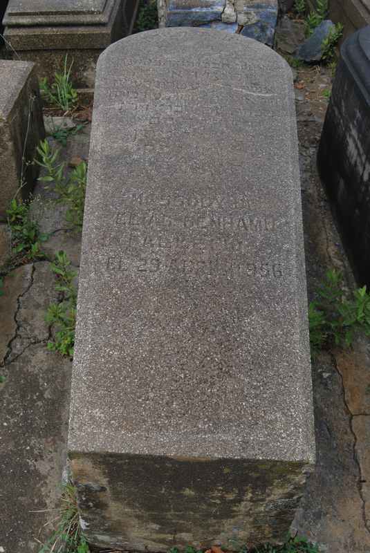 Estela de benhamu messody