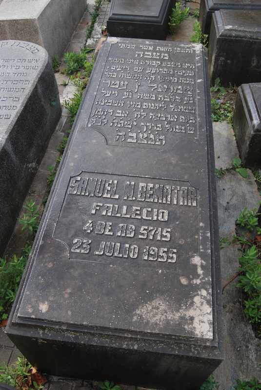 Estela de benatar samuel